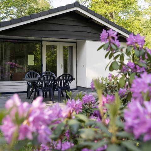 Bungalow 4 Personen - Waldweißdorn
